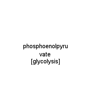 phosphoenolpyruvate [glycolysis]
